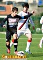 Scattata: 10/02/2013