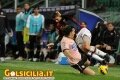 Scattata: 24/02/2013