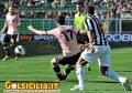 Scattata: 11/03/2013