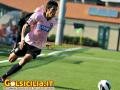 Scattata: 23/09/2012