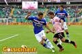 Scattata: 12/11/2012