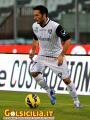 Scattata: 20/11/2012