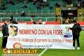Scattata: 28/11/2012