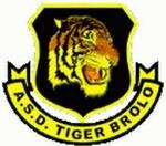 Logo Tiger